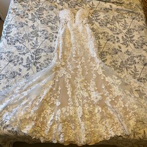 Martina Liana, 1103, Cream 2025